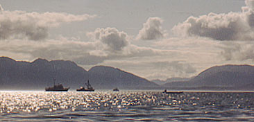 Water and Boats