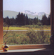 Fern Room View in Heron House